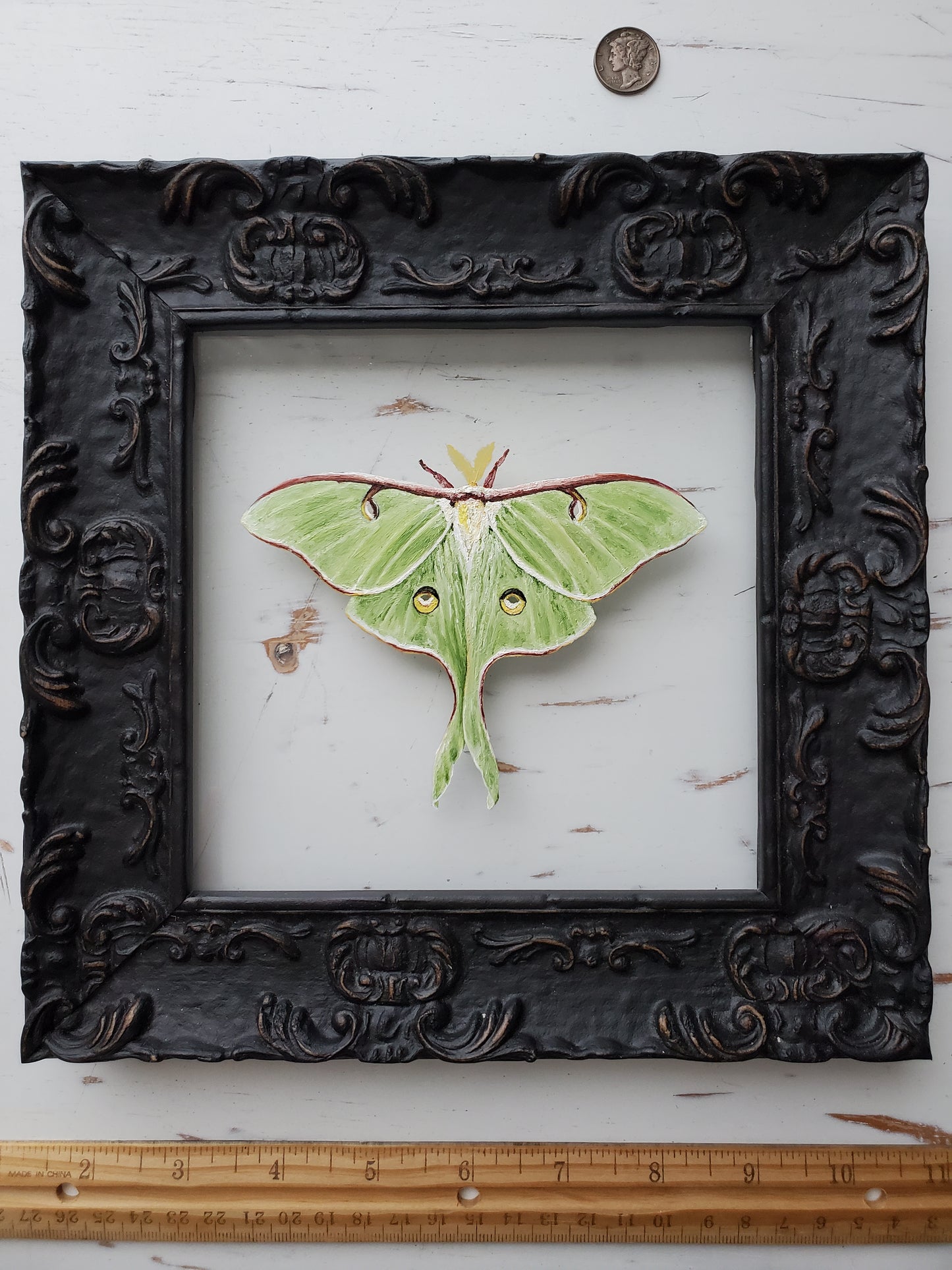 Luna Moth
