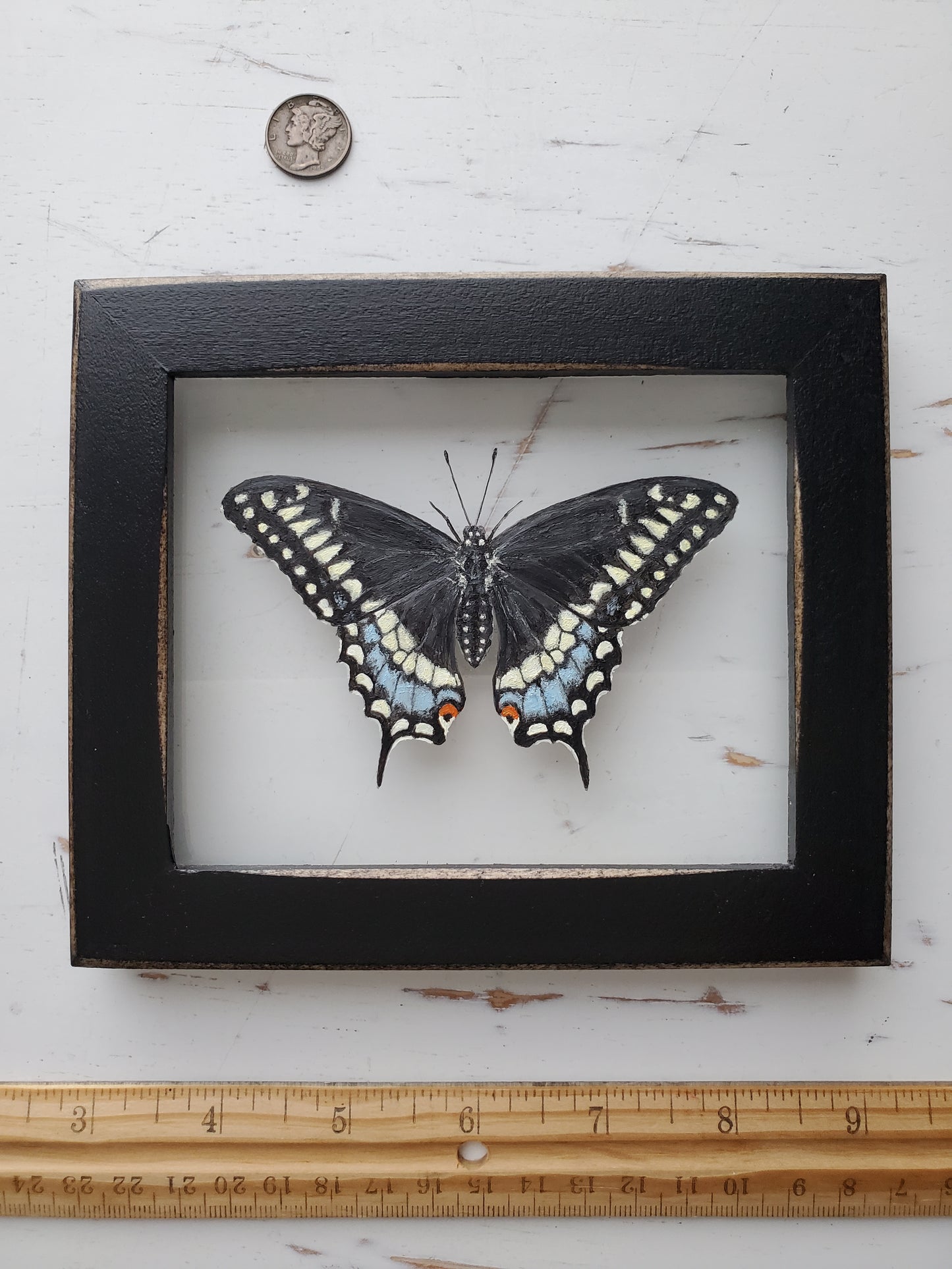 Black Swallowtail