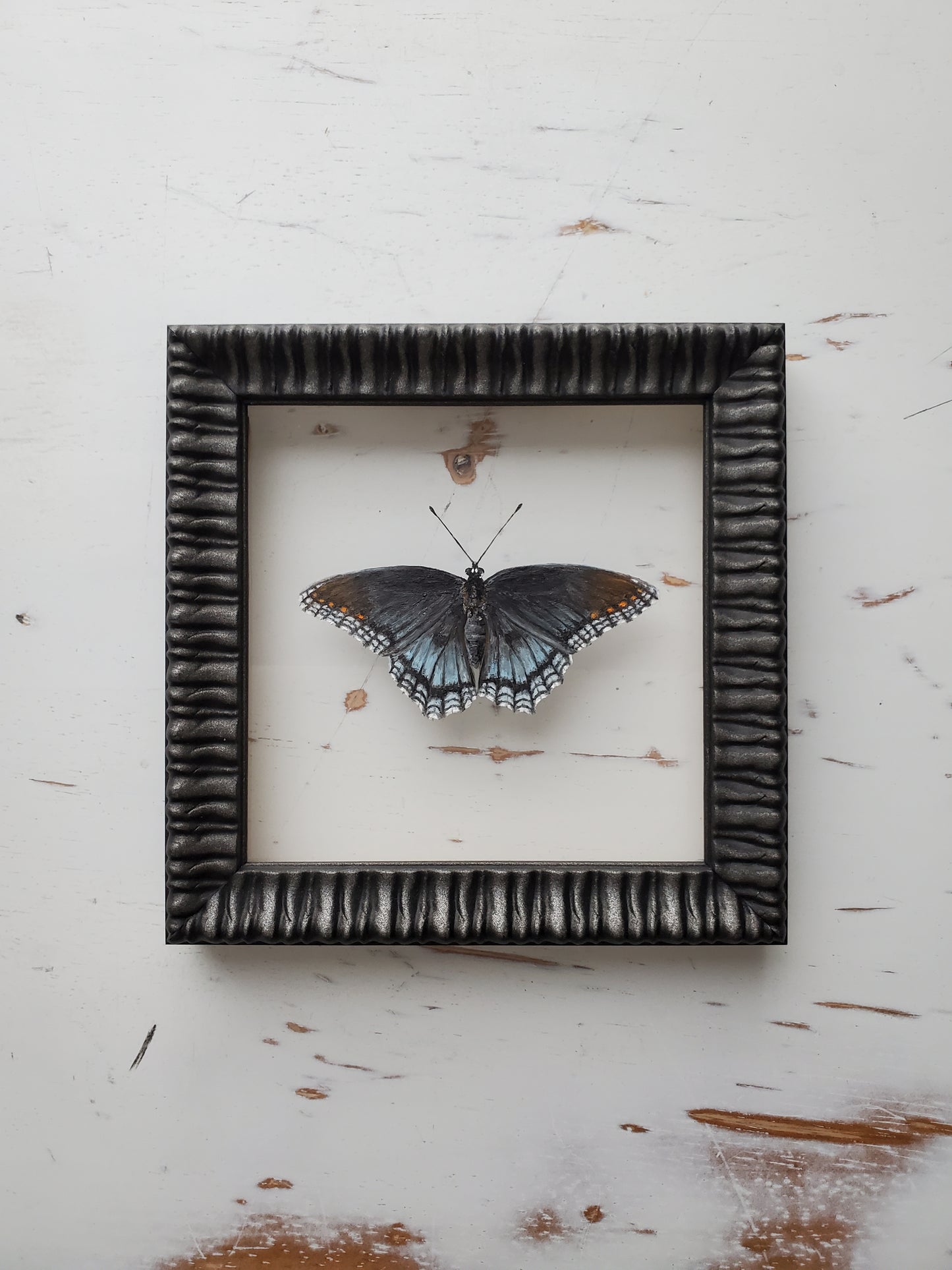 Red-Spotted Purple