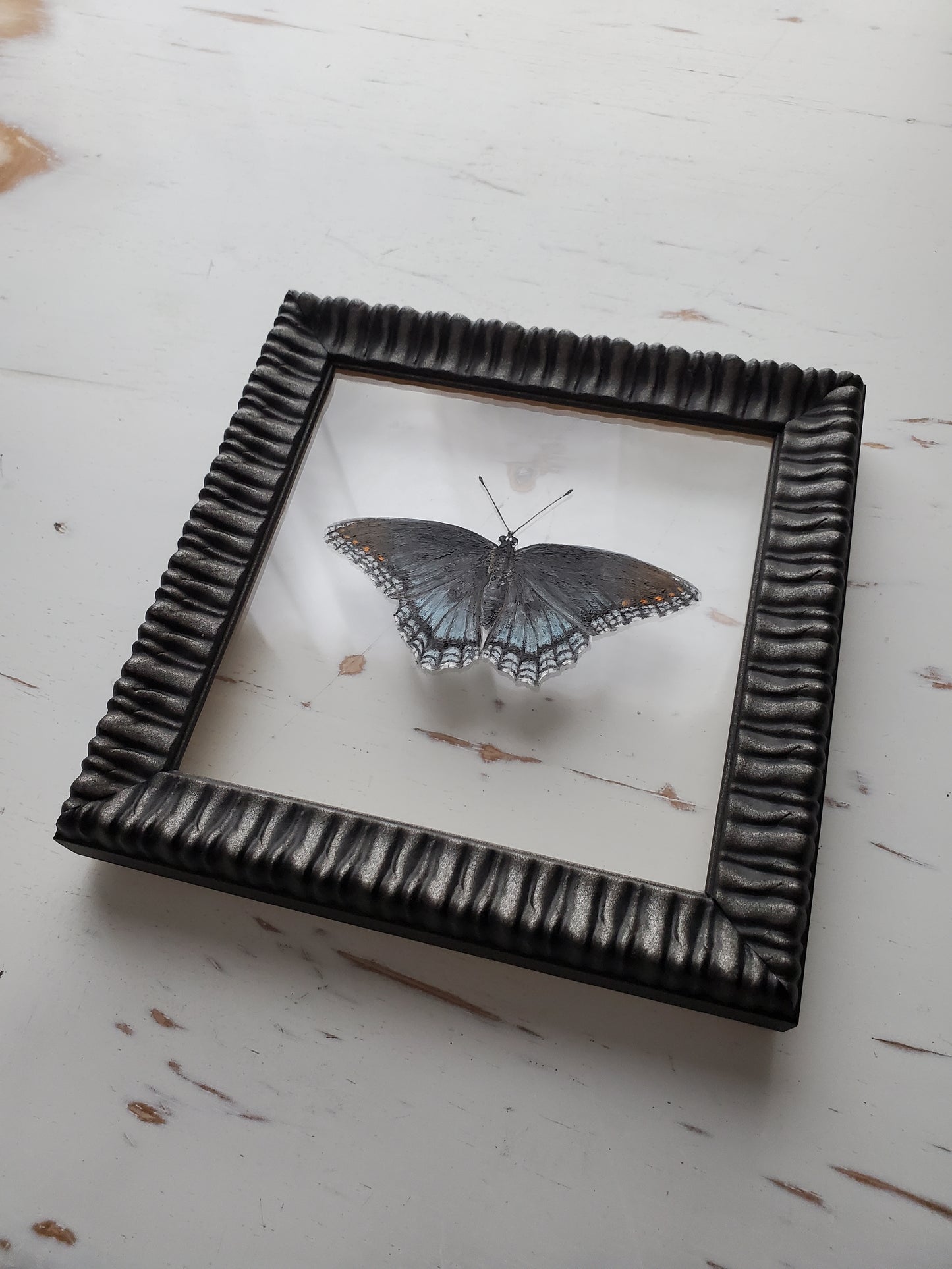 Red-Spotted Purple