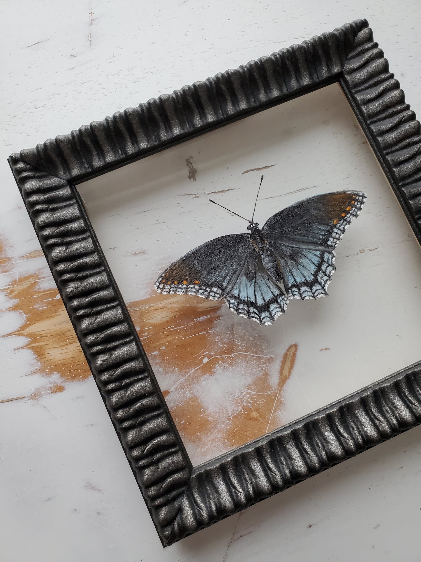 Red-Spotted Purple