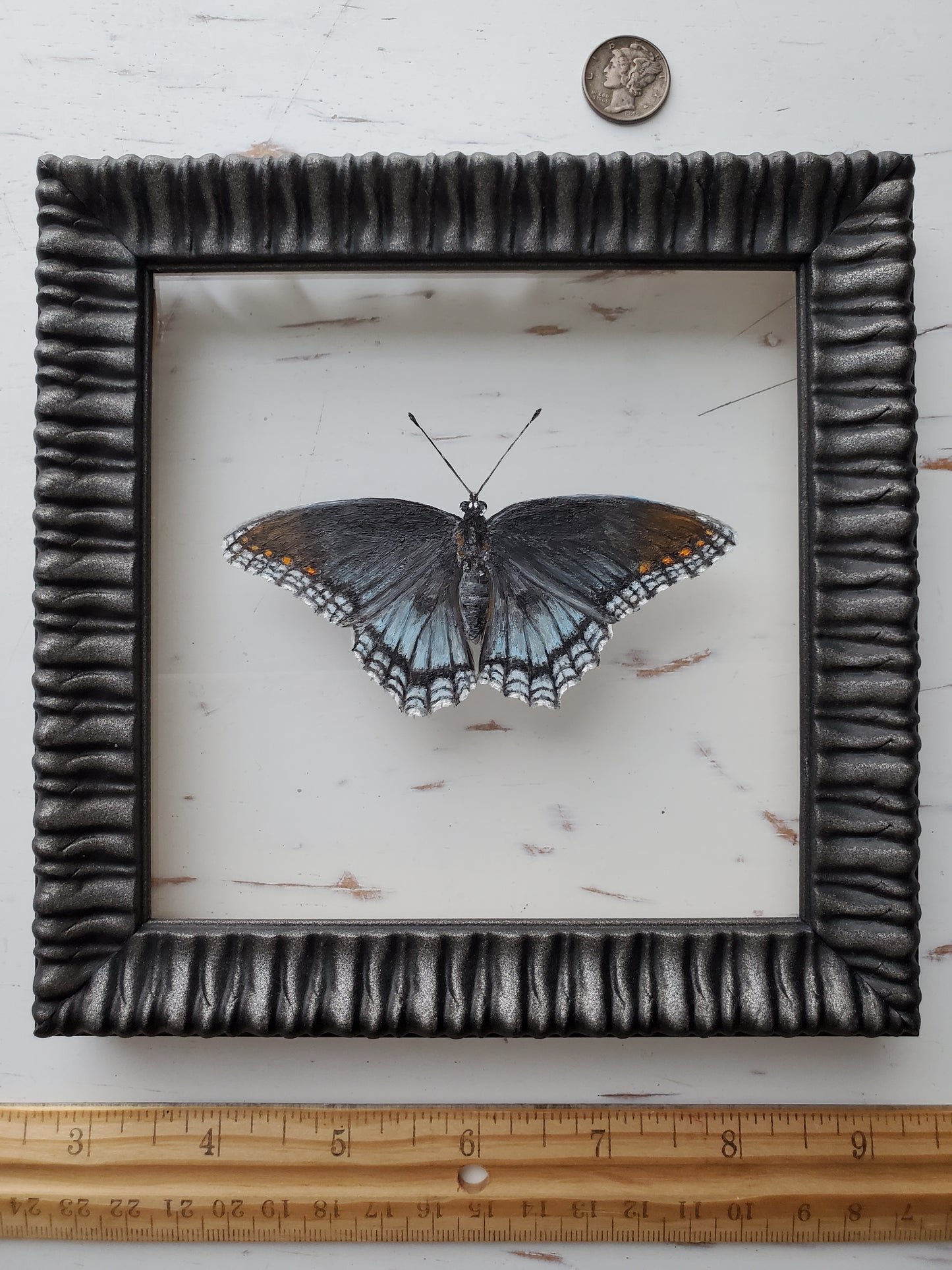 Red-Spotted Purple