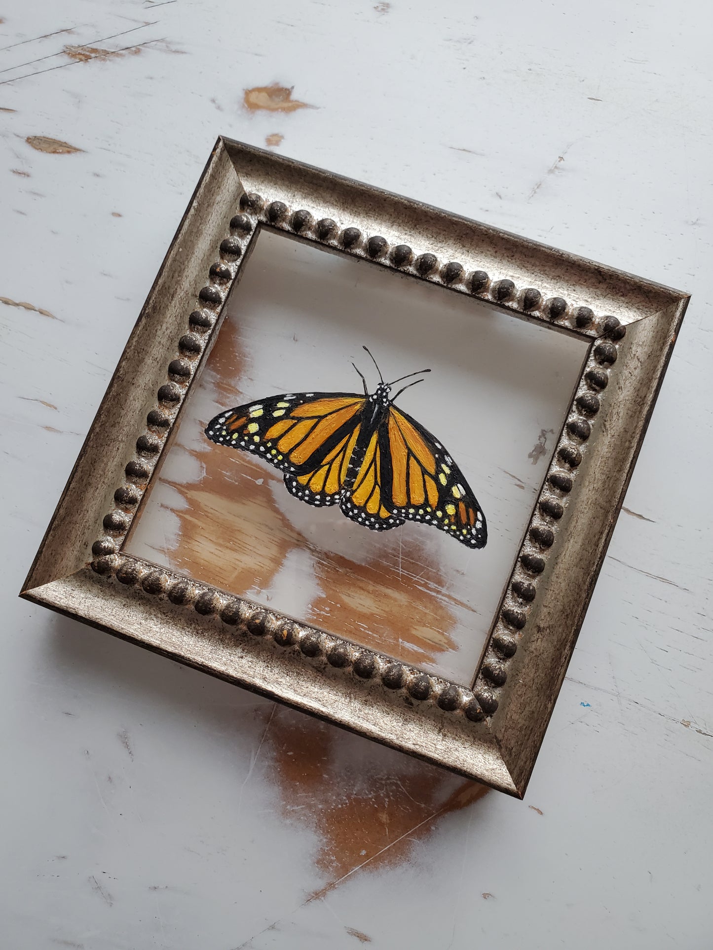 Monarch