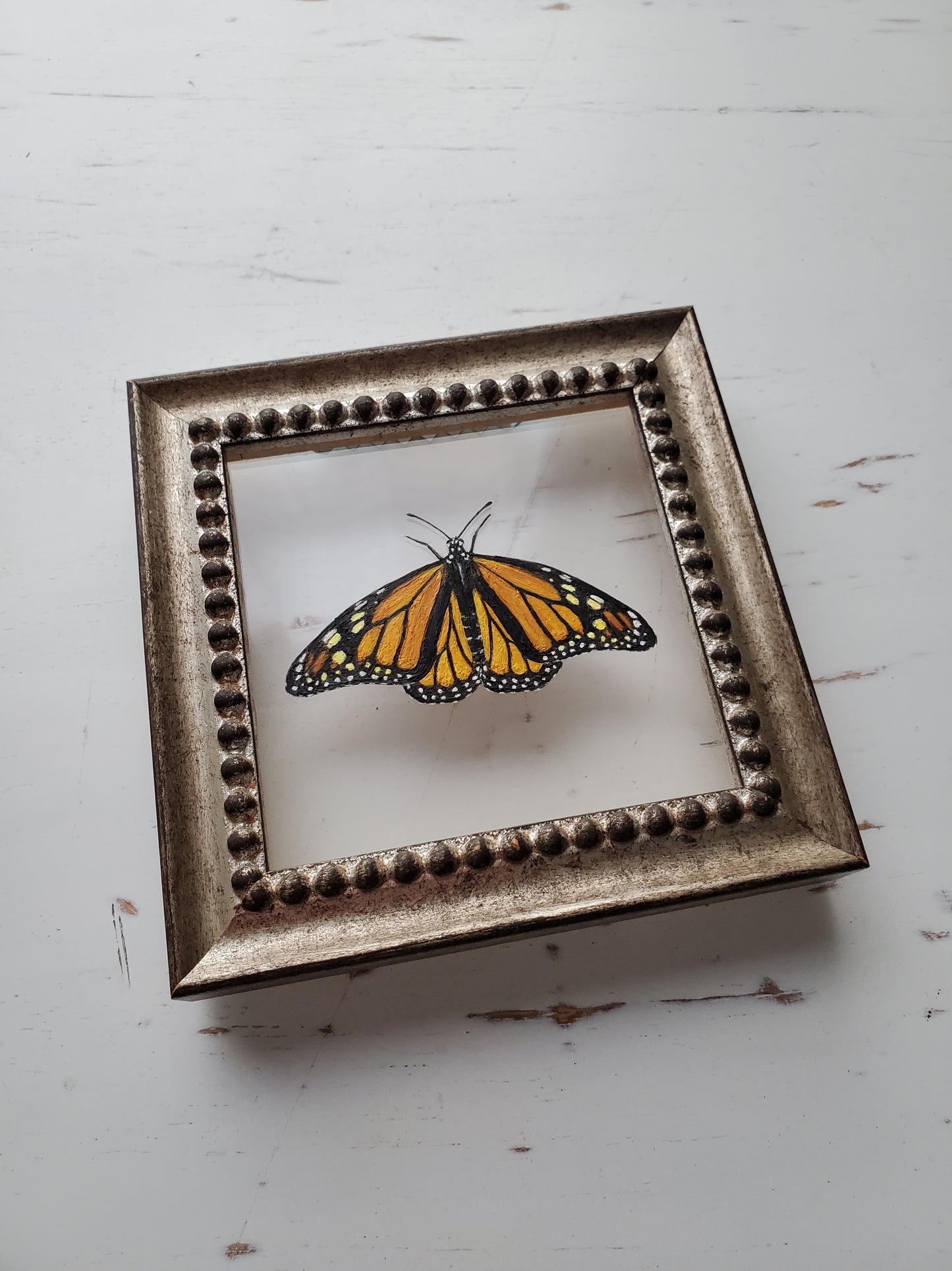 Monarch