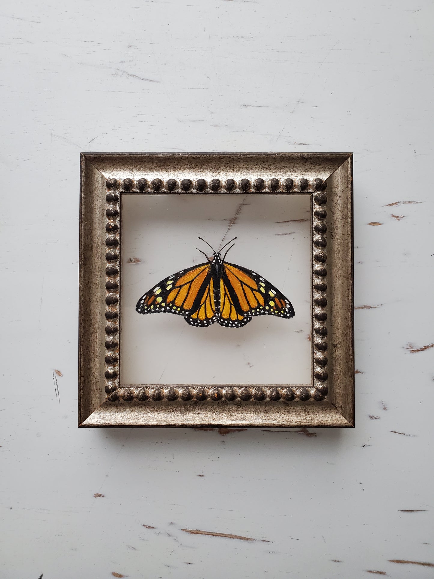 Monarch