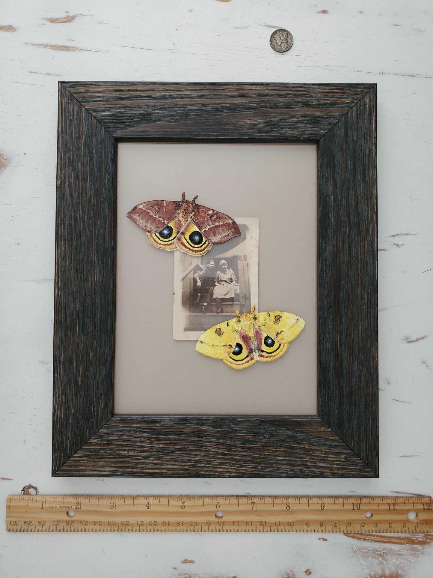 Io Moths + Found Photo