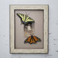Tiger Swallowtail + Monarch + Found Photo