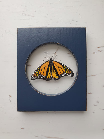 Monarch (assorted frame colors)