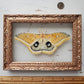 Polyphemus Moth