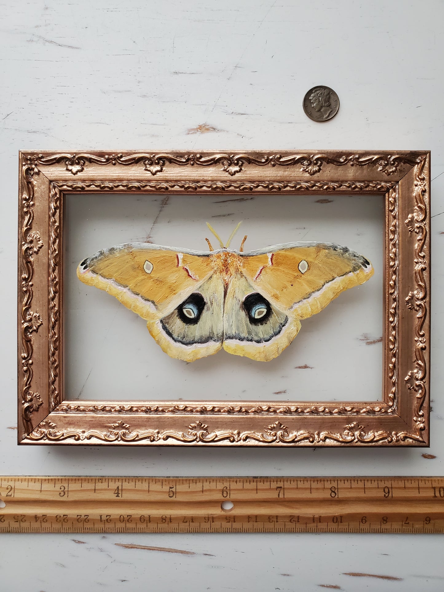 Polyphemus Moth