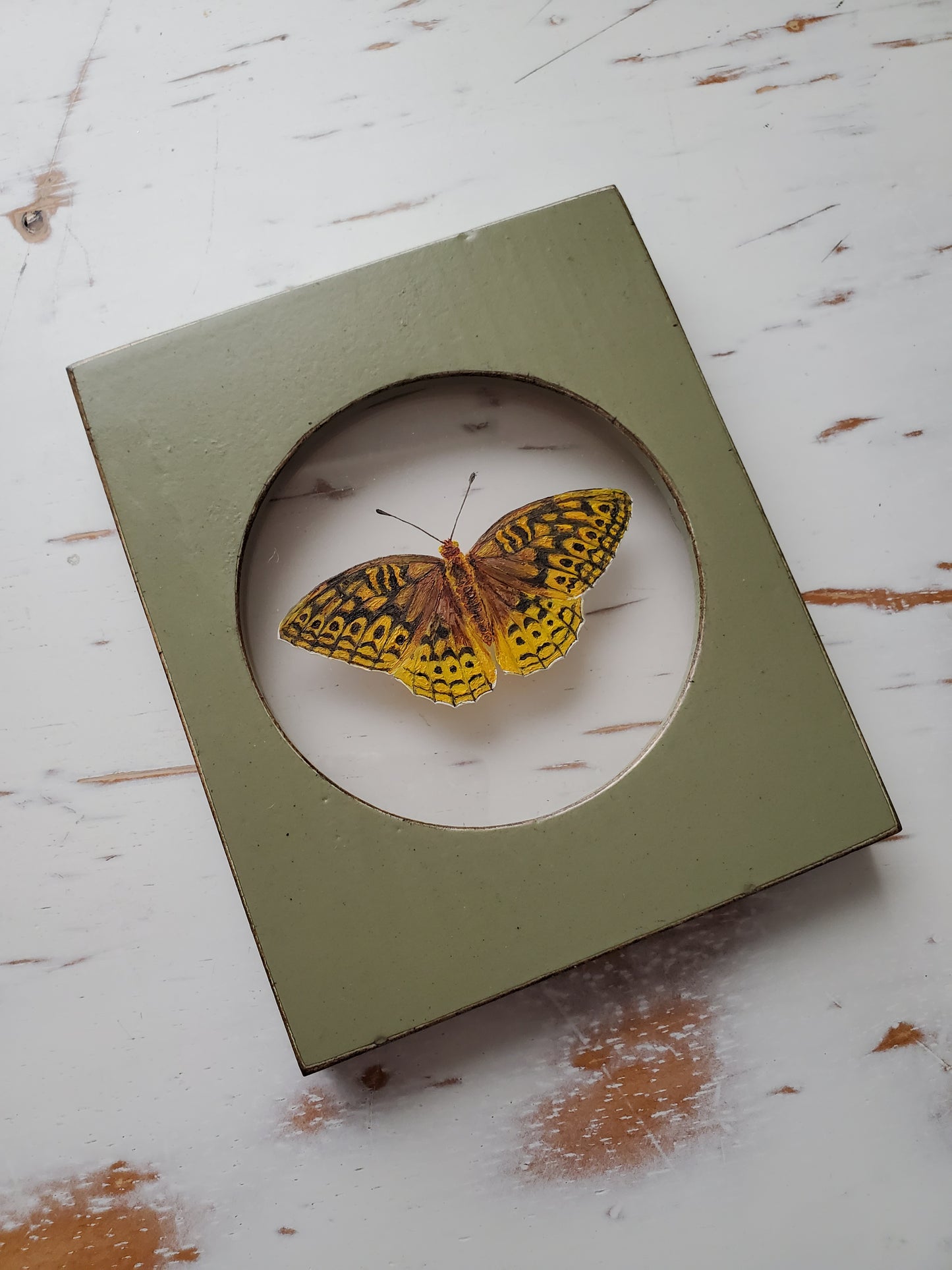 Great Spangled Fritillary