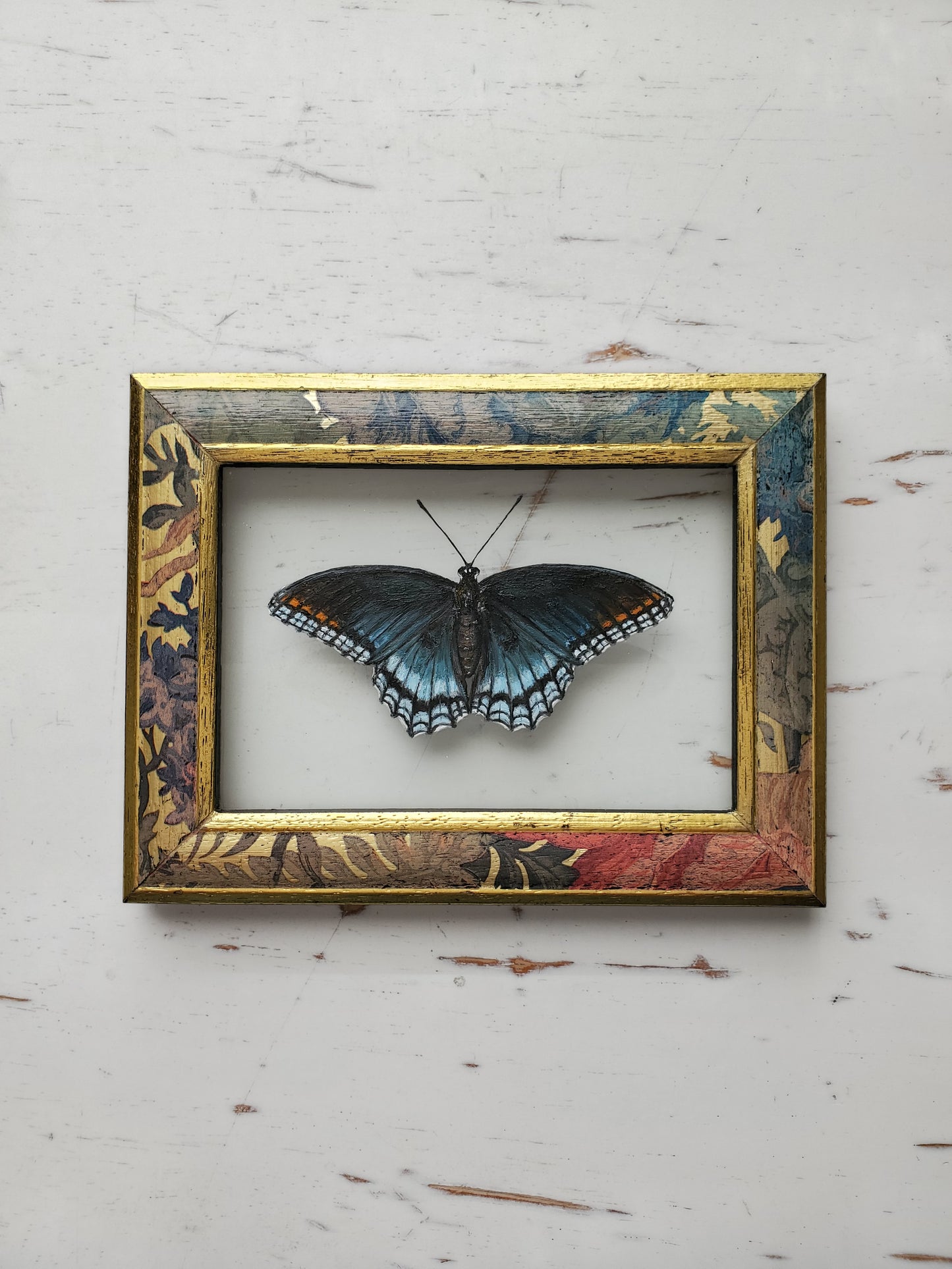Red-spotted Purple