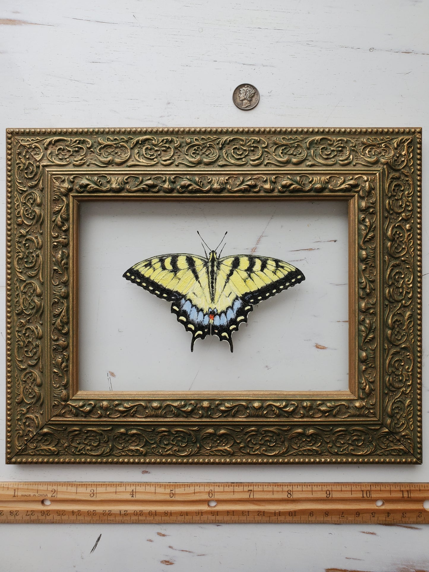 Tiger Swallowtail