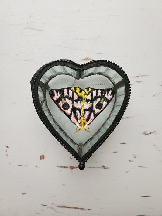 Sheep Moth + Trinket Box