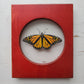 Monarch