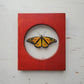 Monarch