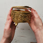 Great Spangled Fritillary + Trinket Box