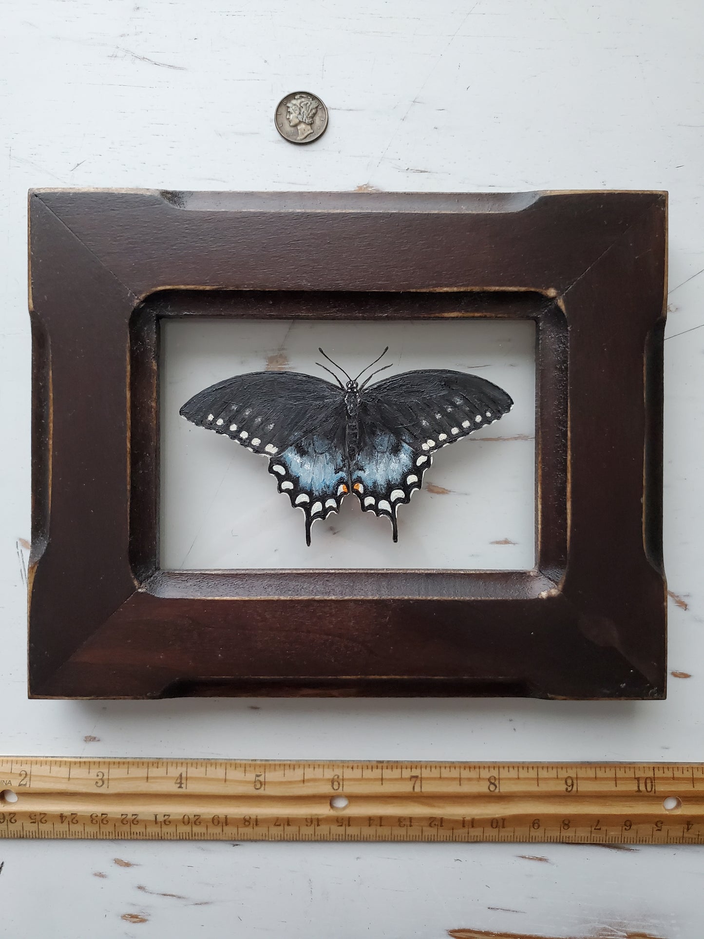 Spicebush Swallowtail