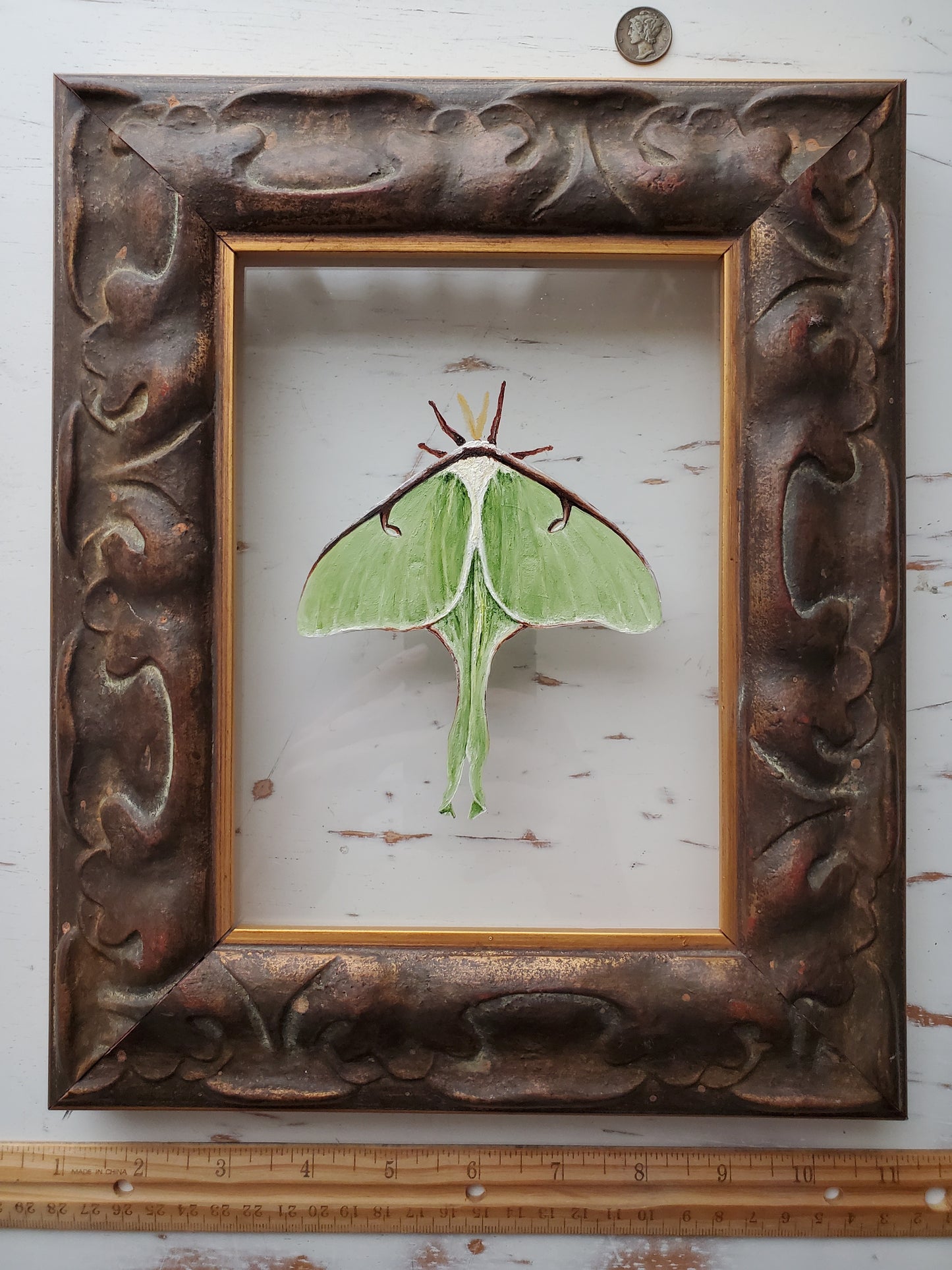 Luna Moth