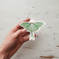 Luna Moth | Sticker