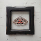 Sweetheart Underwing