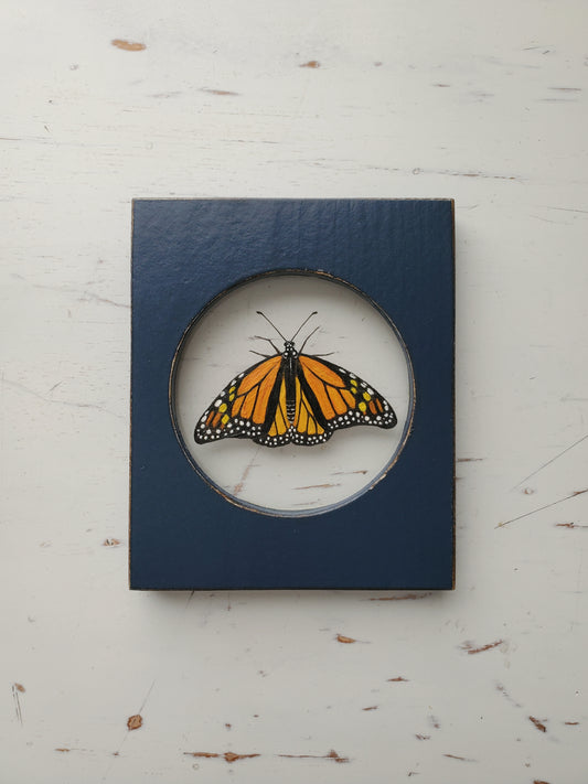 Monarch
