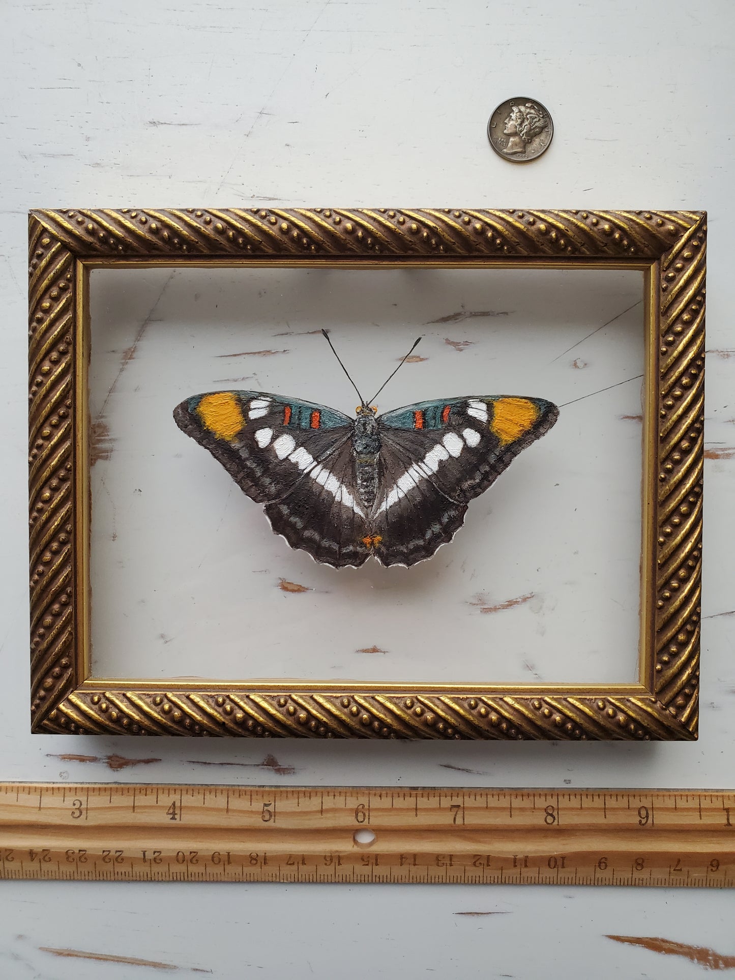 California Sister Butterfly