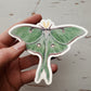 Luna Moth | Sticker
