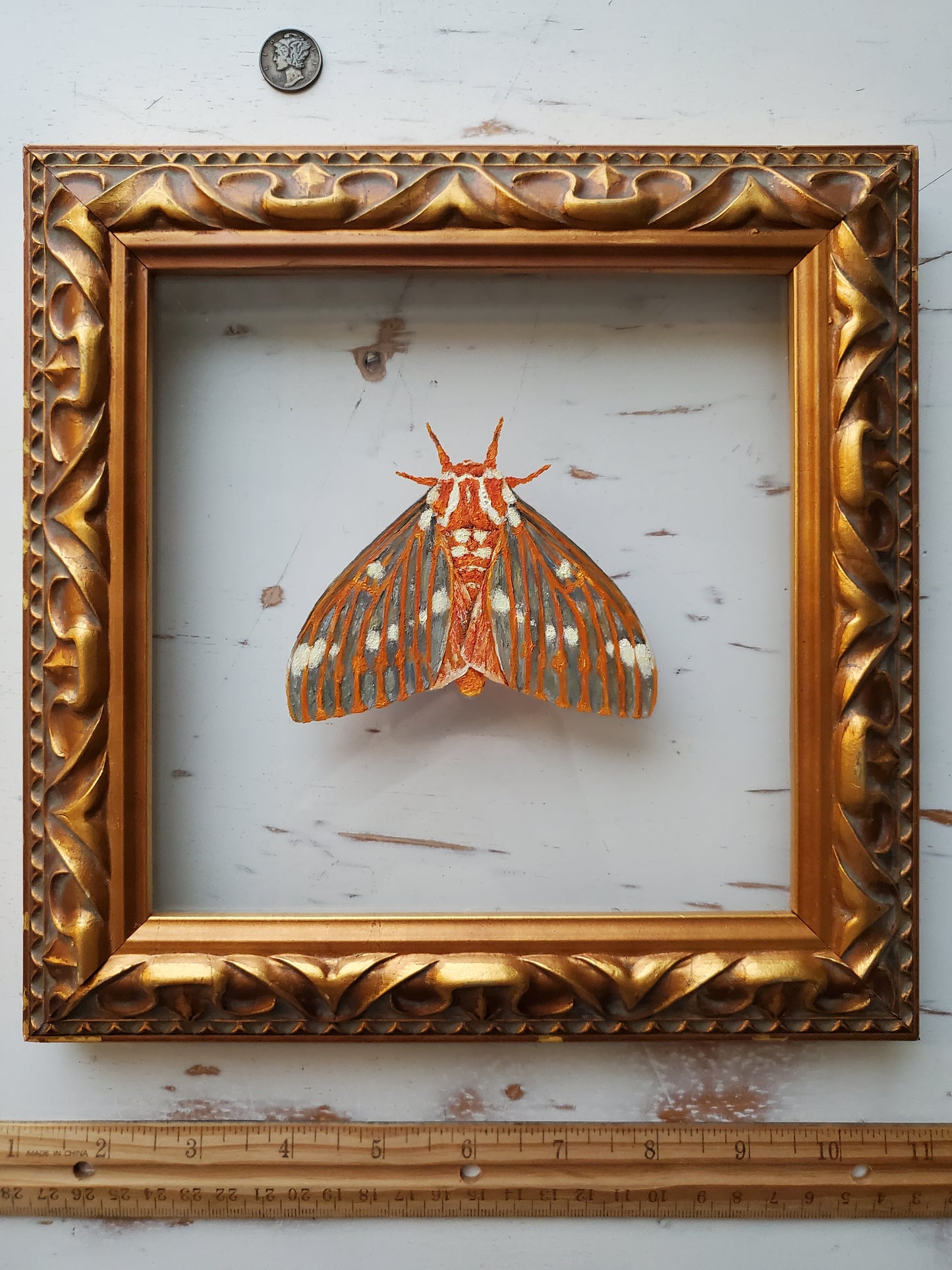 Regal Moth