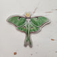 Luna Moth | Sticker