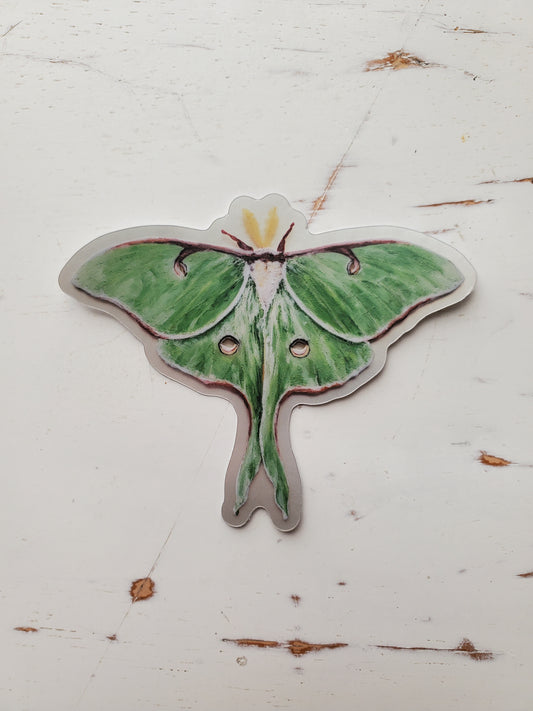 Luna Moth | Sticker