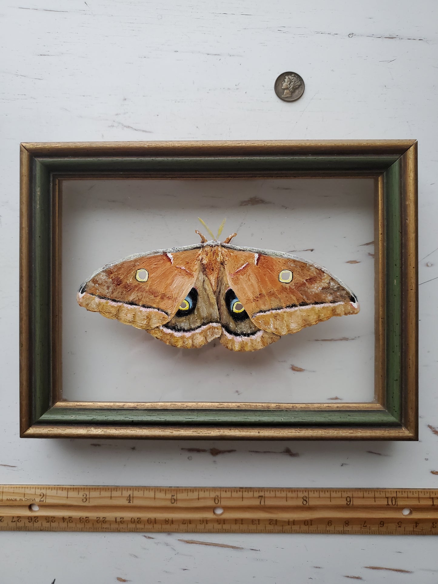 Polyphemus Moth