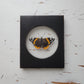 Red Admiral