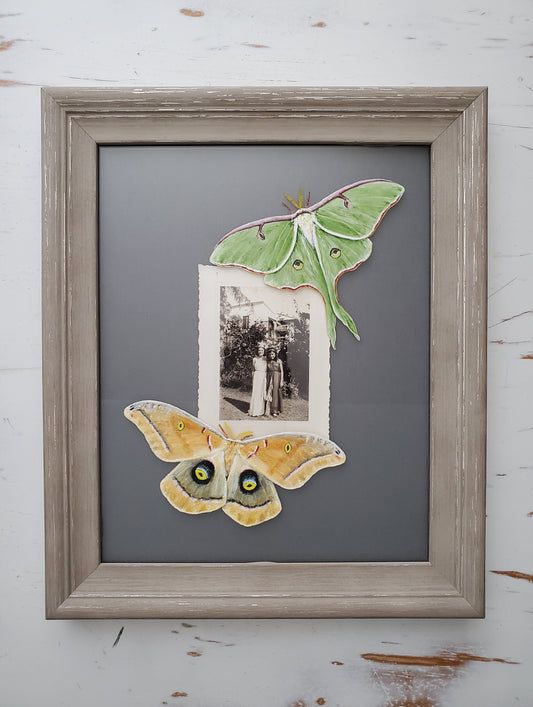 Luna Moth + Polyphemus Moth + Found Photo