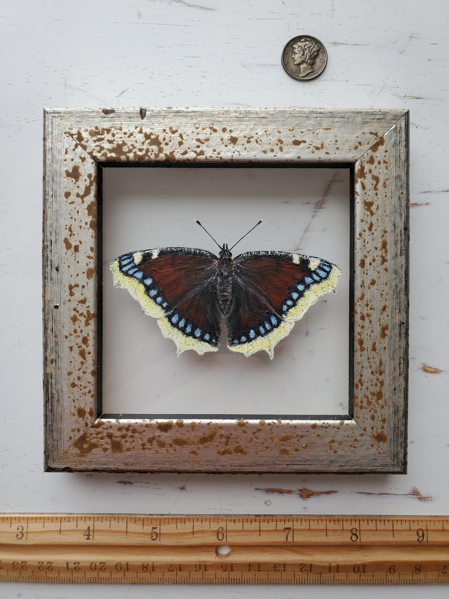 Mourning Cloak