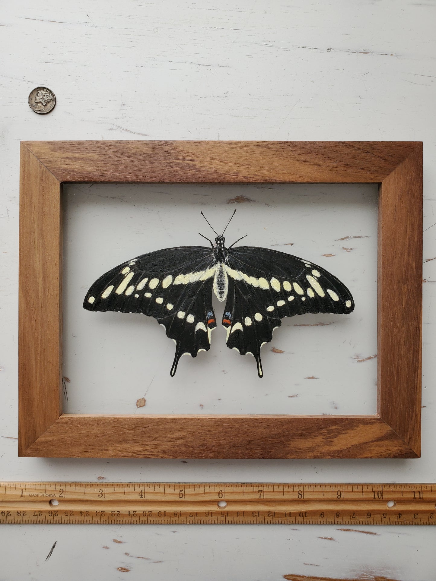 Giant Swallowtail
