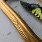 Tiger Swallowtail (Gynandromorph)