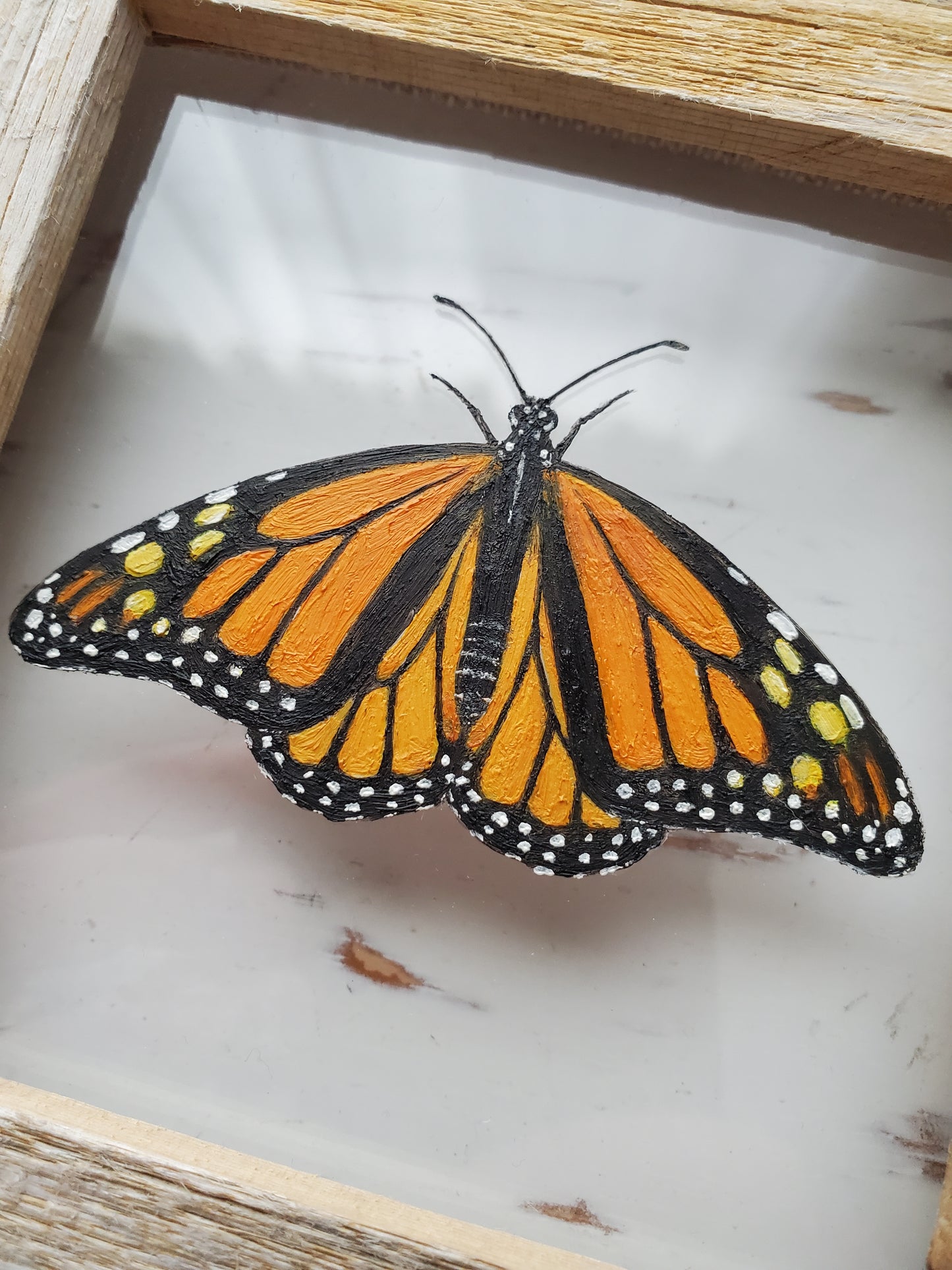 Monarch