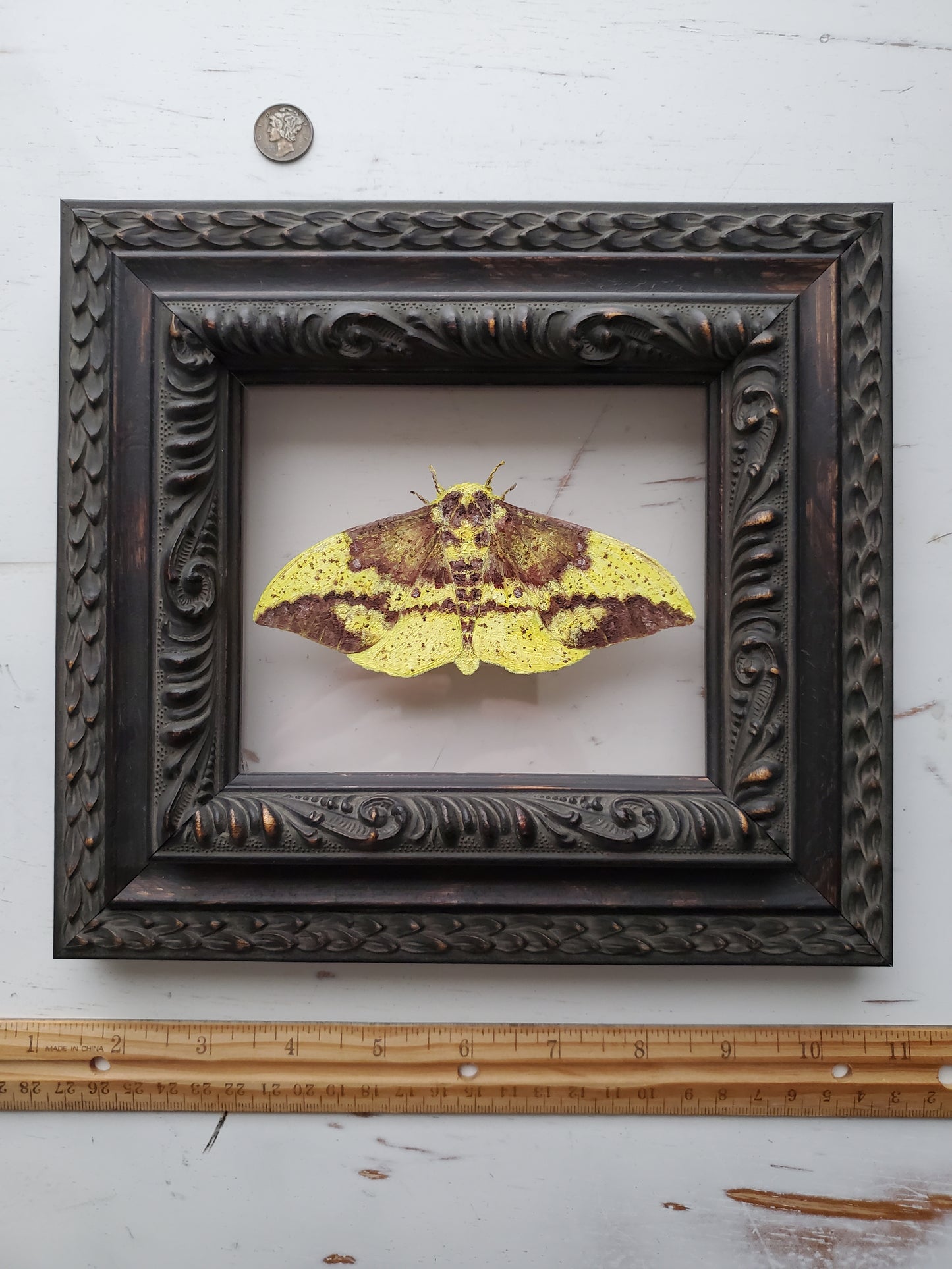 Imperial Moth