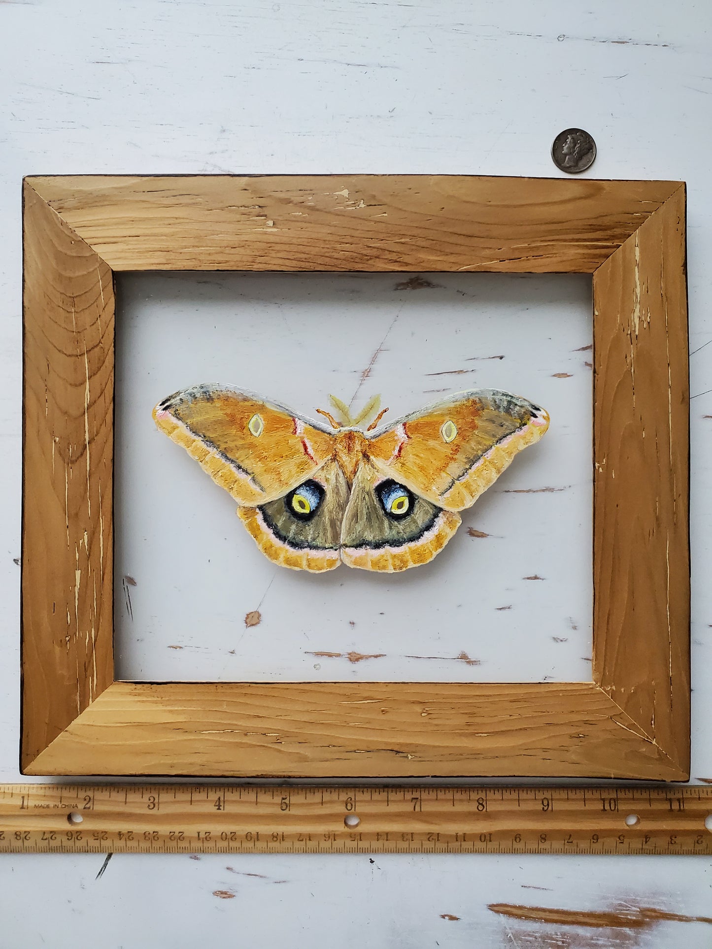 Polyphemus Moth