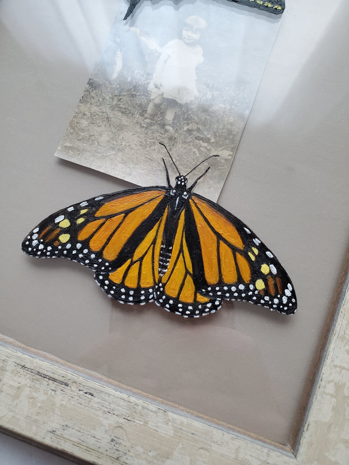 Tiger Swallowtail + Monarch + Found Photo