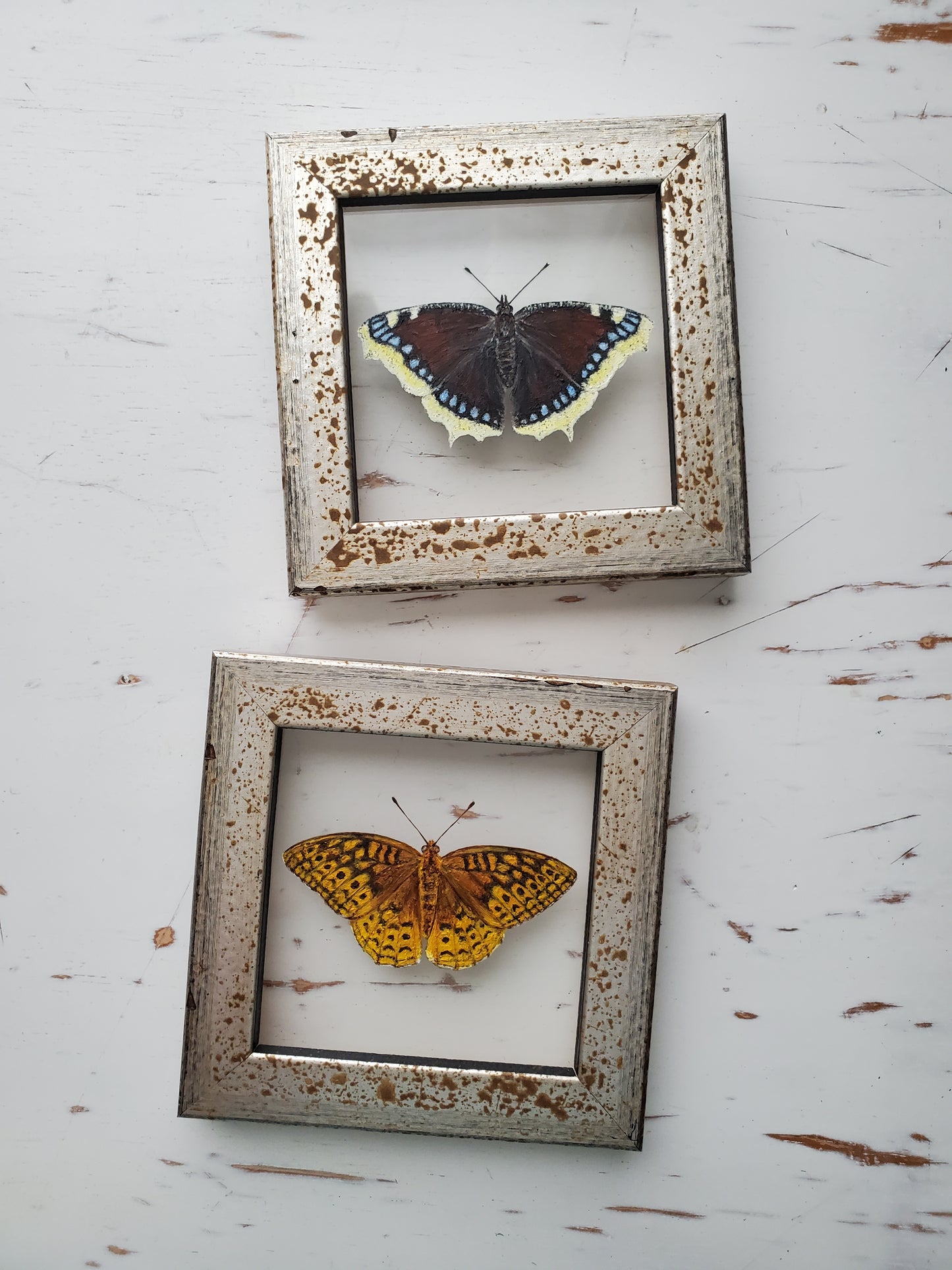 Great Spangled Fritillary