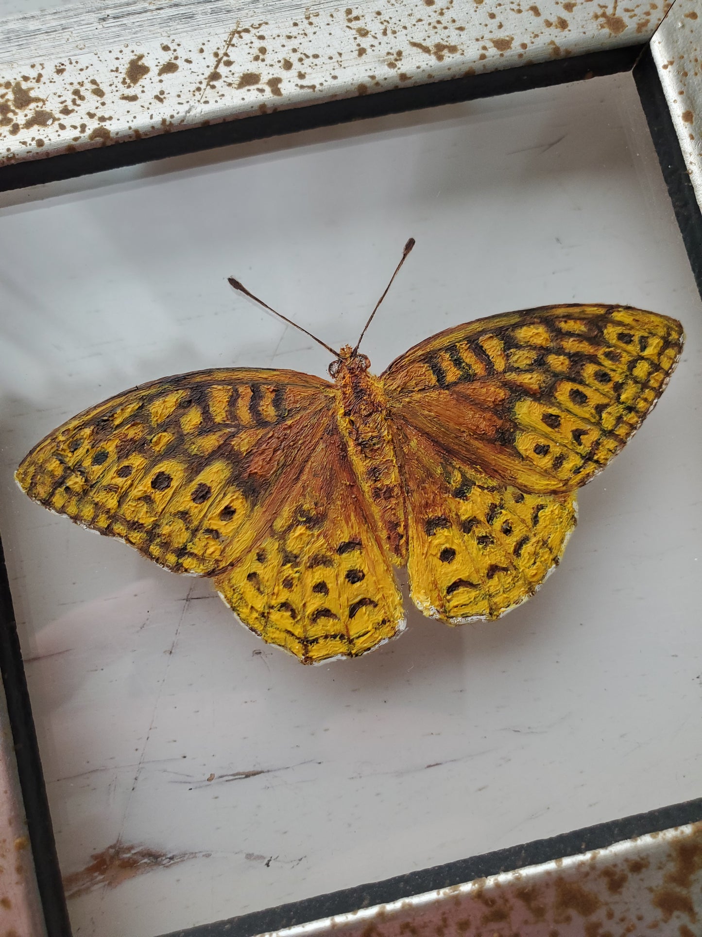 Great Spangled Fritillary