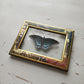 Red-spotted Purple