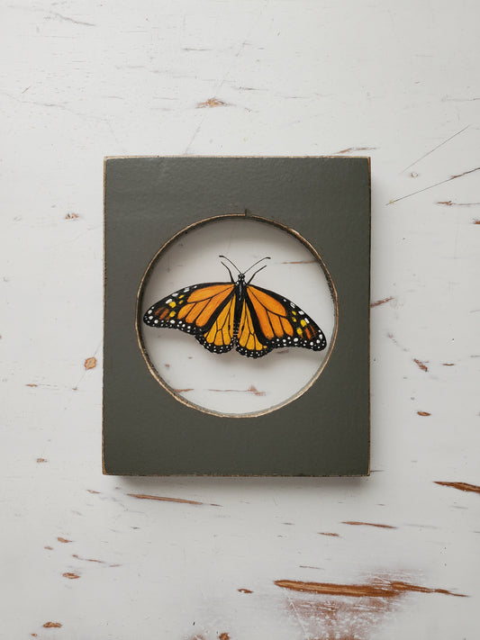 Monarch