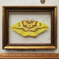 Imperial Moth